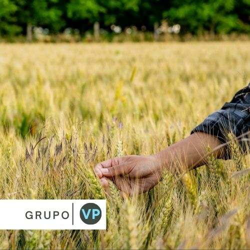 Capacitación Empresarial: Clave para el Desarrollo de Talento en la Agroindustria